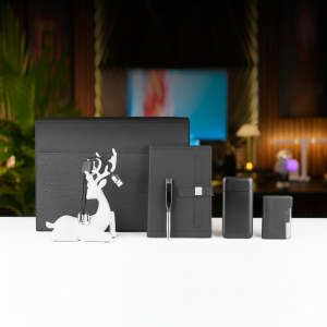 COLLECTION VIP E12 CLASS A